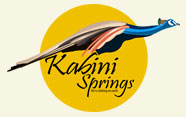 Kabini Springs
